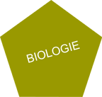 Doučování - Biologie